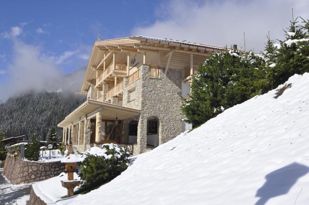 Hotel Portillo Dolomites 1966' 塞尔瓦迪加尔代纳山谷 外观 照片